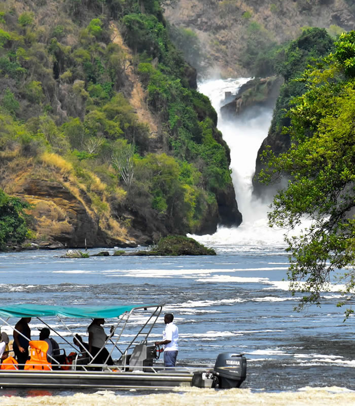 magic african safaris