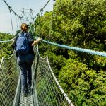 10 Day Explore Rwanda Safari