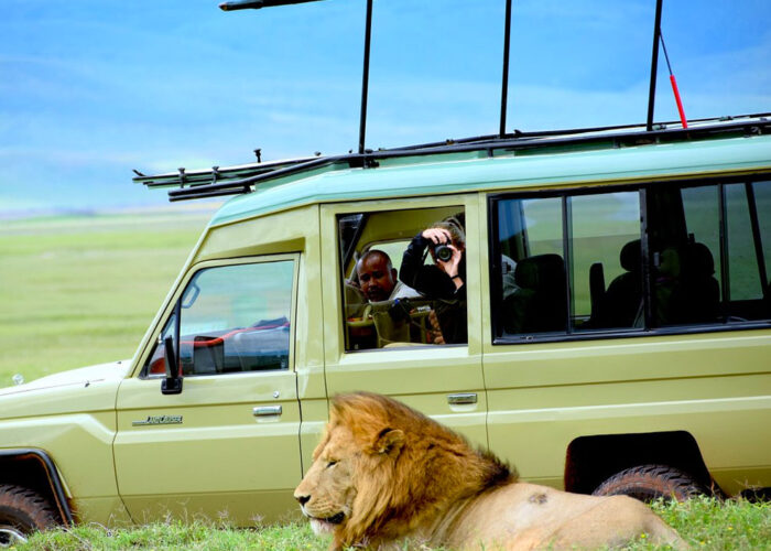 6-day-tanzania-safari-adventure