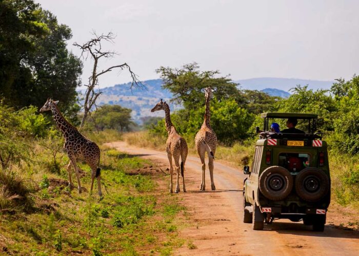 10-days-classic-rwanda-safari